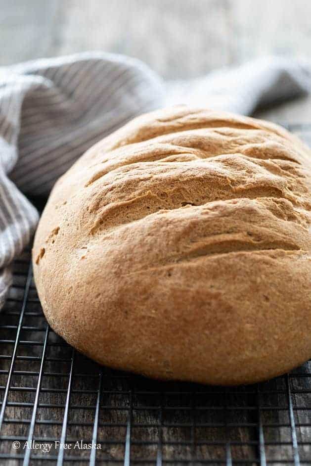 Quick Dutch Oven Bread  Little House Big Alaska