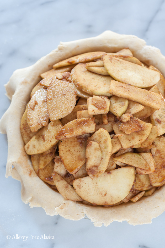 Easy Apple Pie (Vegan and Gluten Free Substitutions) - Spoonful of Flavor