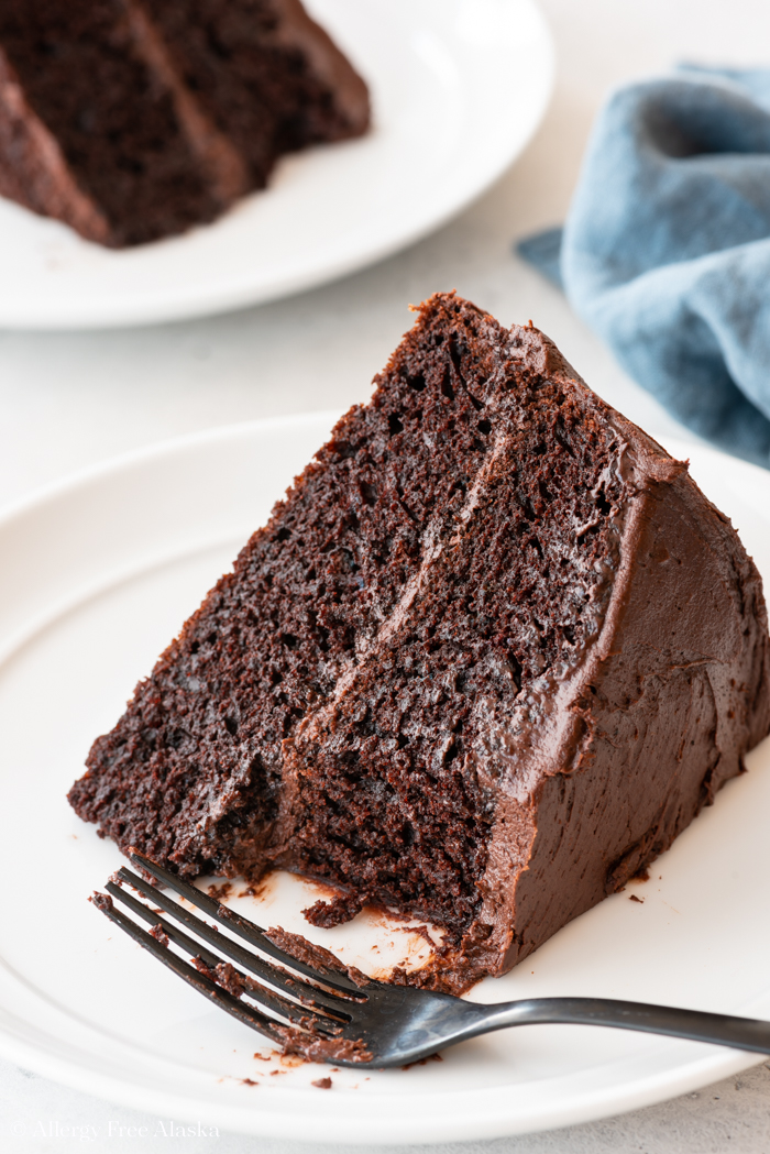 Gluten Free Chocolate Cake - Allergy Free Alaska