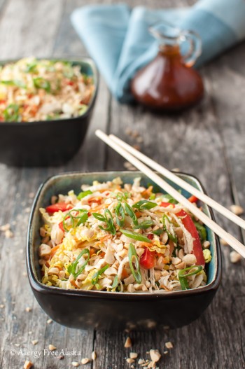 Asian Chicken Salad - Allergy Free Alaska