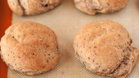 Everyday Gluten Free Dinner Rolls with Better Batter – My Gluten Free Cucina