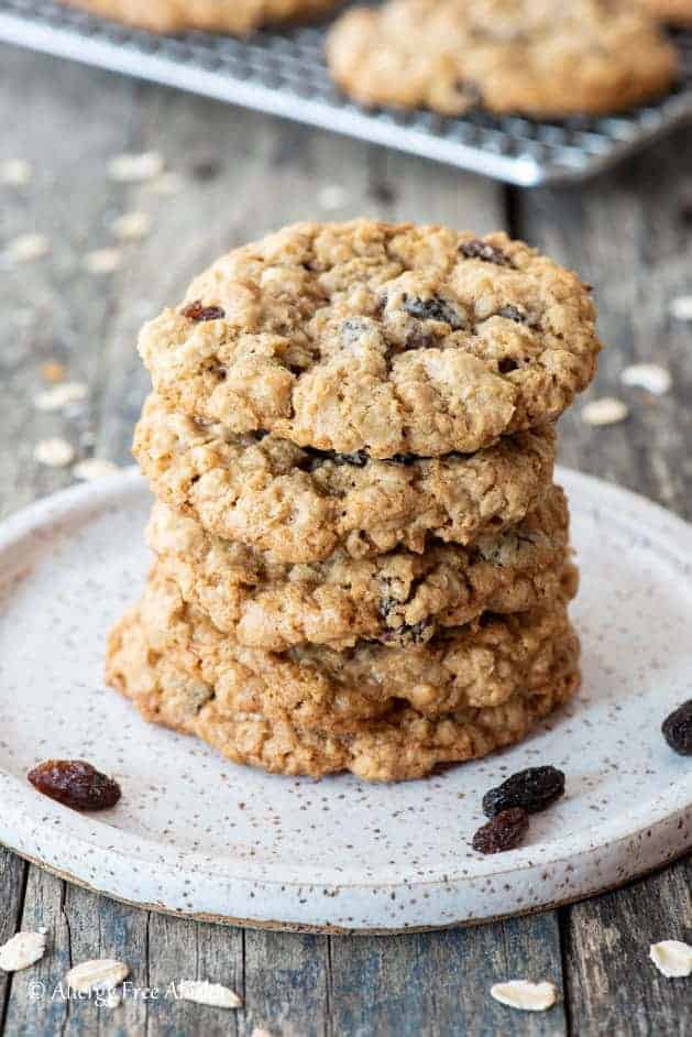 Gluten Free Oatmeal Cookies - Allergy Free Alaska