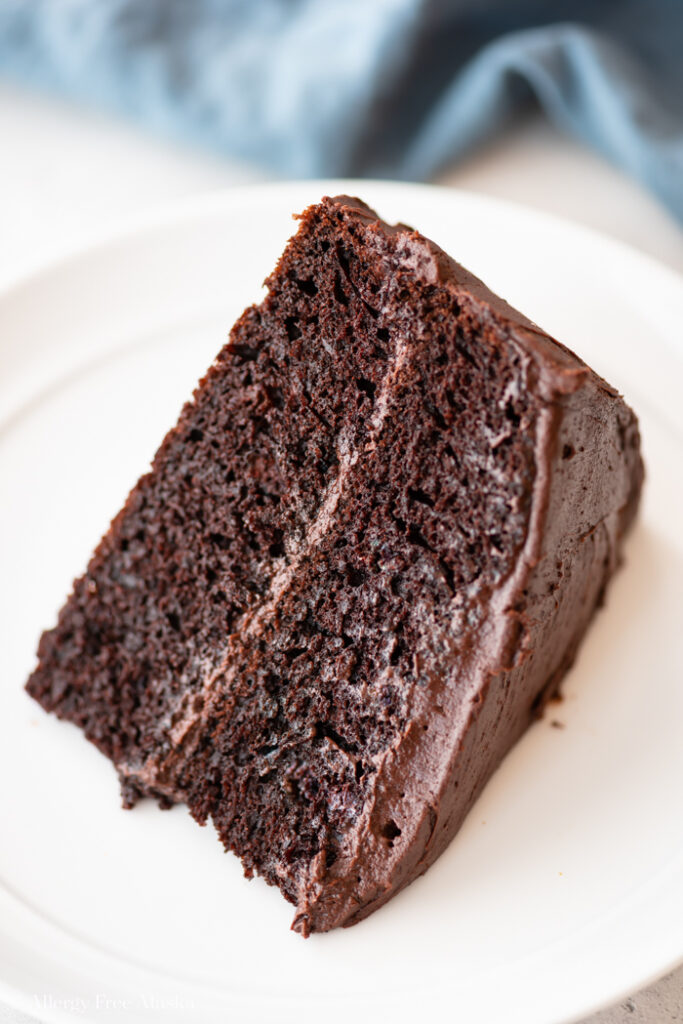 Gluten Free Chocolate Cake - Allergy Free Alaska