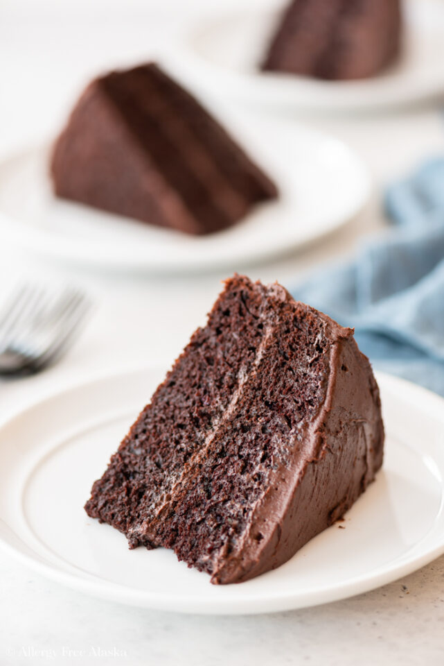 Gluten Free Chocolate Cake - Allergy Free Alaska